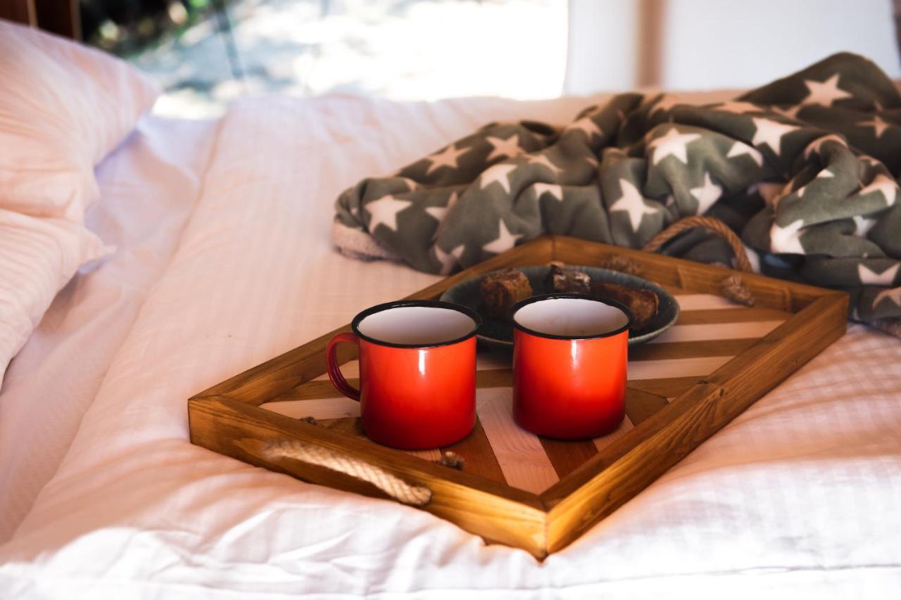 Forrest Glamping Hotel Banska Stiavnica Luaran gambar